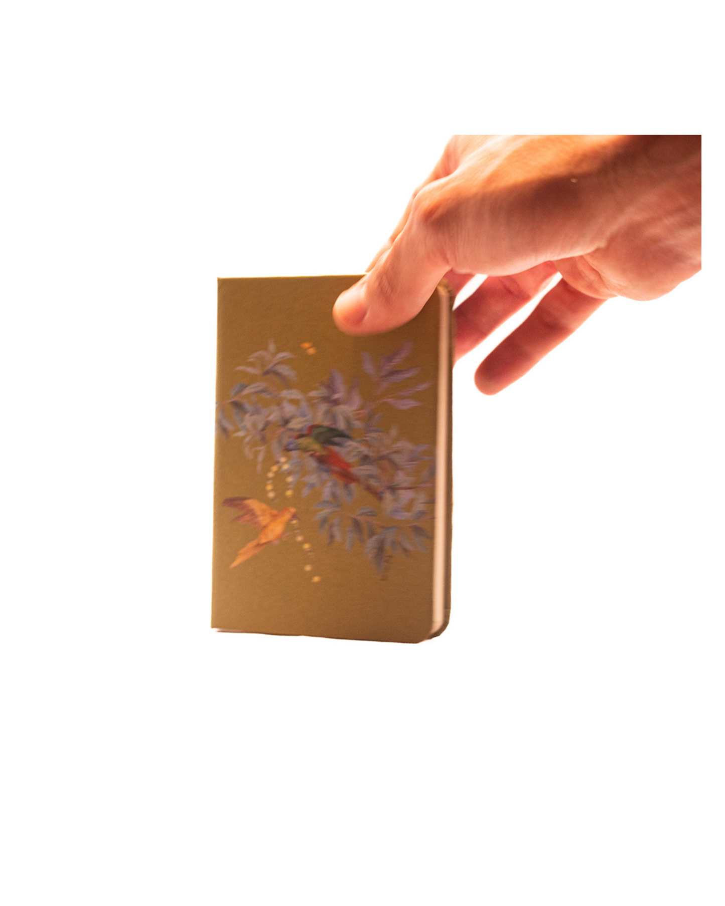 Caderno Pássaros capa dura 9x13 Dominique Jardy