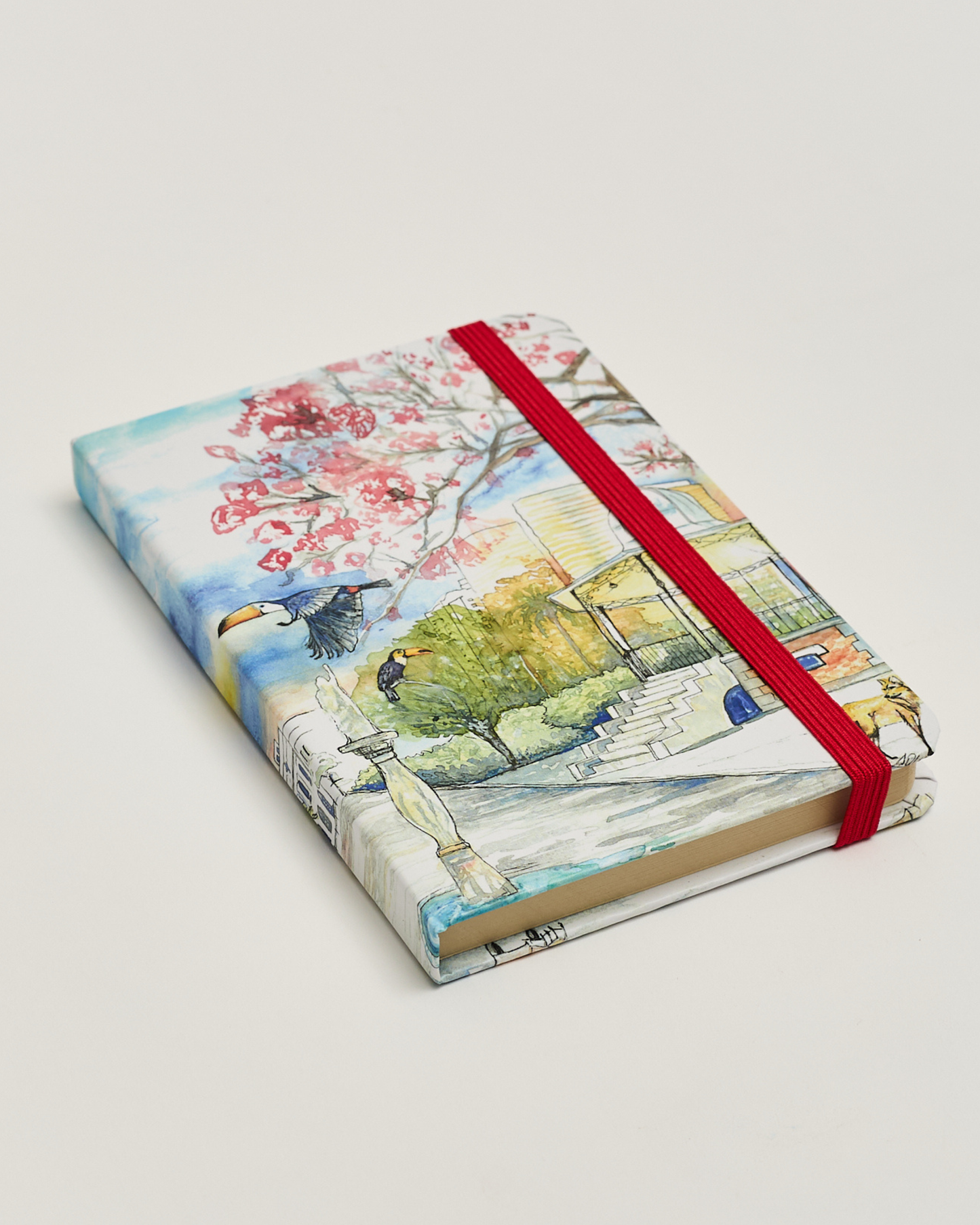 Caderno capa dura 14x21 Ana Carolina