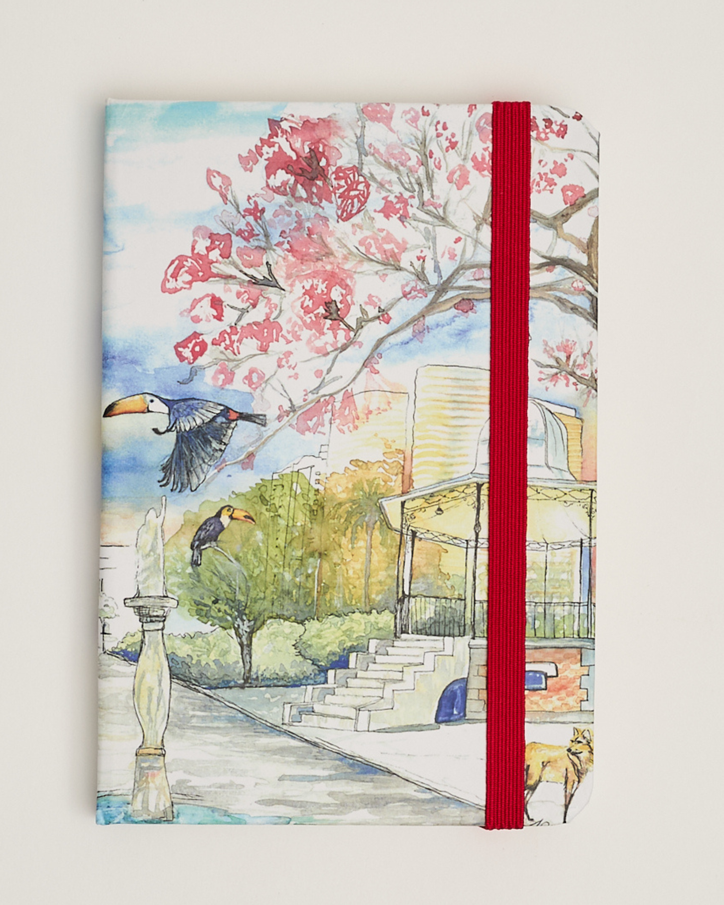 Caderno capa dura 14x21 Ana Carolina