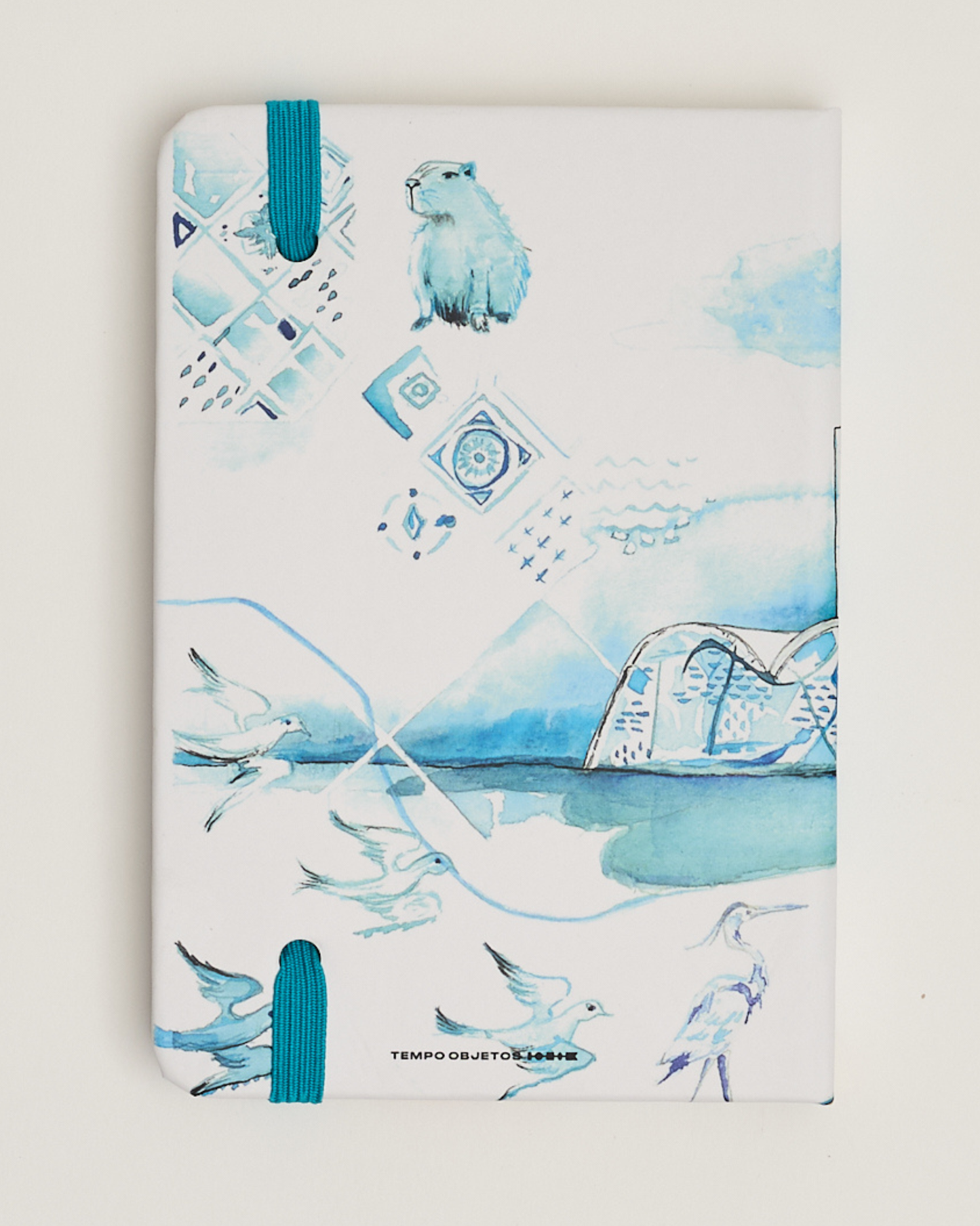 Caderno capa dura 14x21 Ana Carolina