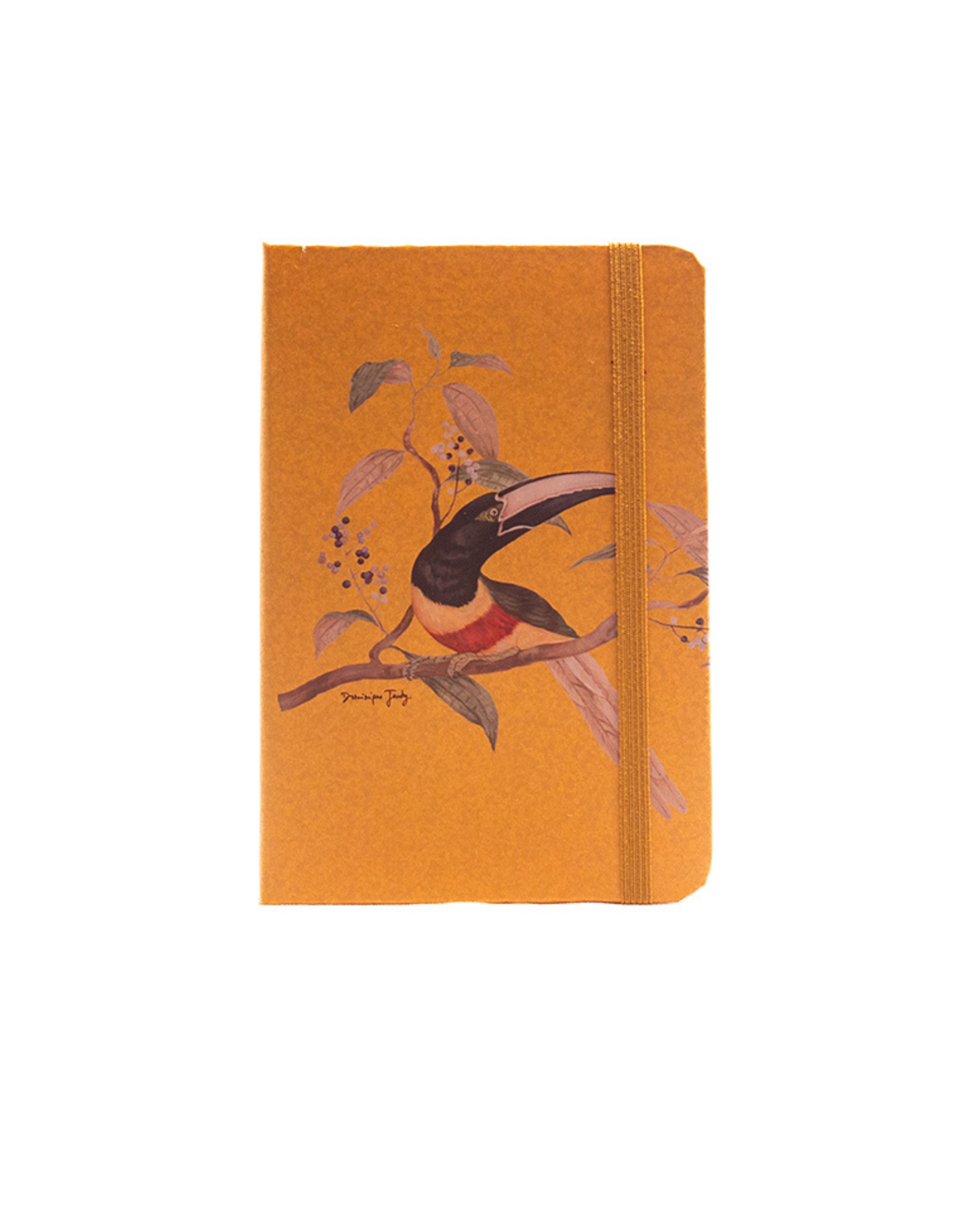 Caderno Tucano capa dura 9x13 Dominique Jardy